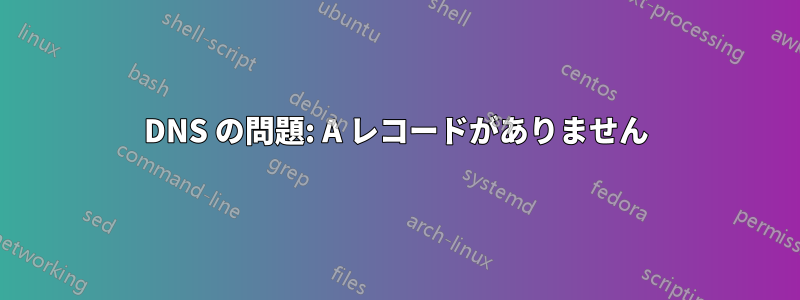 DNS の問題: A レコードがありません