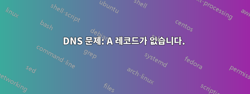 DNS 문제: A 레코드가 없습니다.