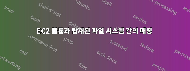 EC2 볼륨과 탑재된 파일 시스템 간의 매핑