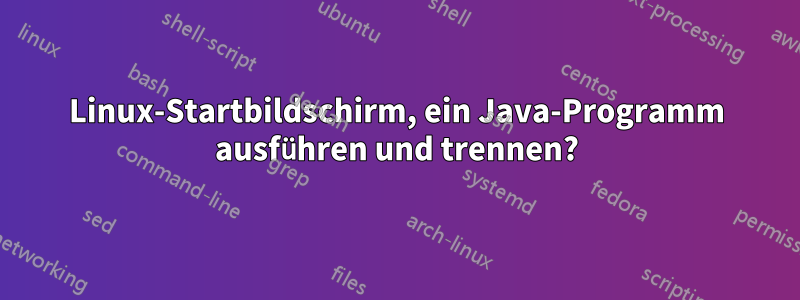 Linux-Startbildschirm, ein Java-Programm ausführen und trennen?