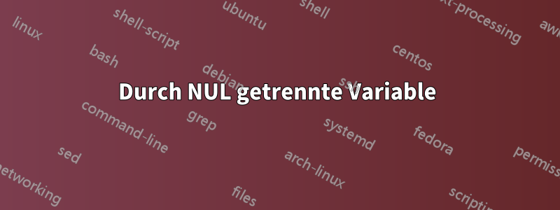 Durch NUL getrennte Variable