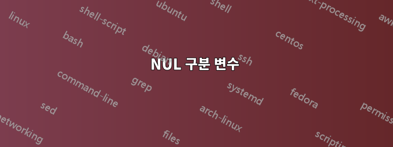 NUL 구분 변수