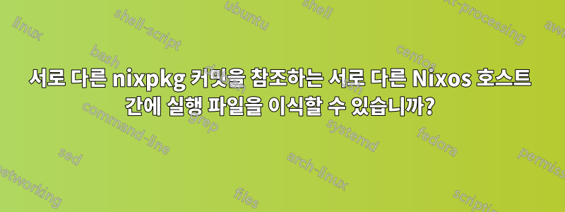 서로 다른 nixpkg 커밋을 참조하는 서로 다른 Nixos 호스트 간에 실행 파일을 이식할 수 있습니까?