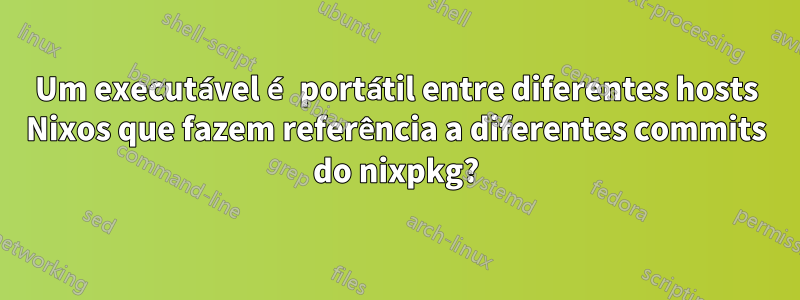Um executável é portátil entre diferentes hosts Nixos que fazem referência a diferentes commits do nixpkg?