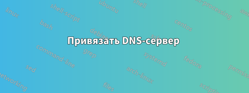 Привязать DNS-сервер