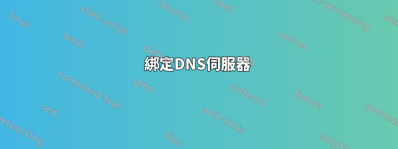 綁定DNS伺服器