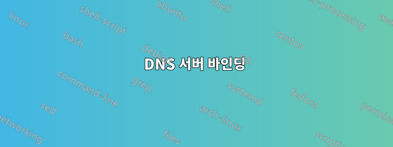 DNS 서버 바인딩