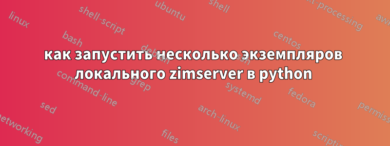 как запустить несколько экземпляров локального zimserver в python