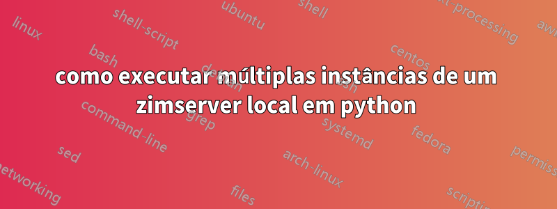 como executar múltiplas instâncias de um zimserver local em python