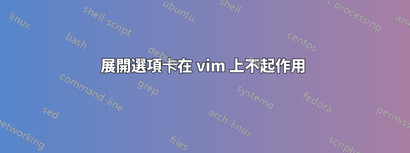展開選項卡在 vim 上不起作用