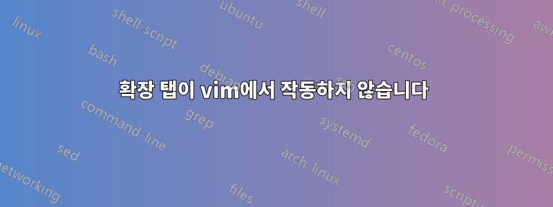확장 탭이 vim에서 작동하지 않습니다