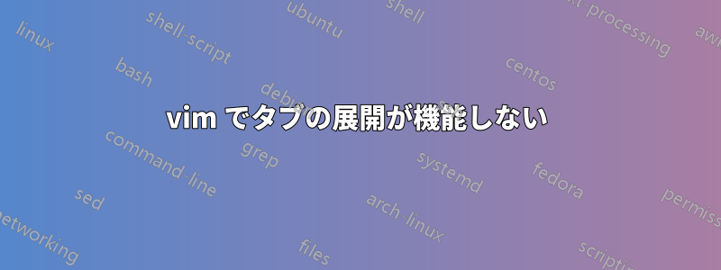 vim でタブの展開が機能しない