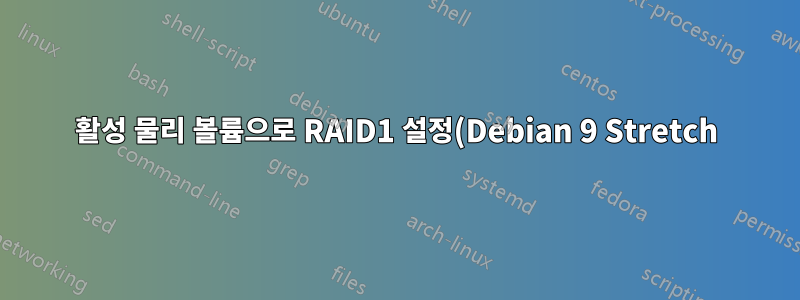 활성 물리 볼륨으로 RAID1 설정(Debian 9 Stretch)