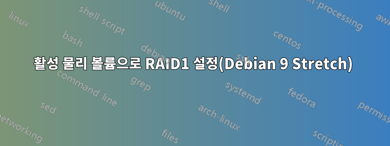 활성 물리 볼륨으로 RAID1 설정(Debian 9 Stretch)