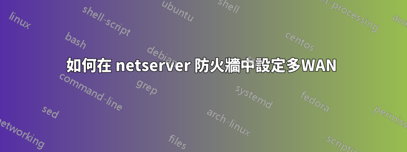 如何在 netserver 防火牆中設定多WAN