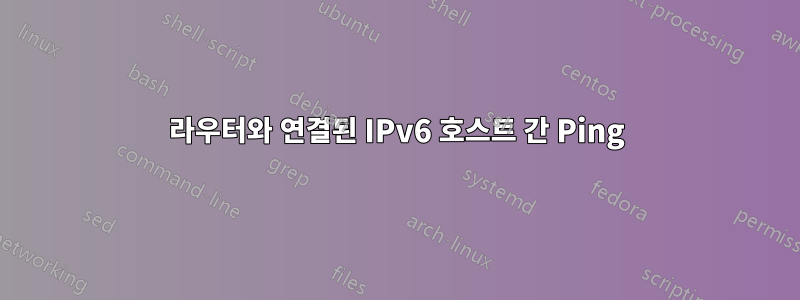 라우터와 연결된 IPv6 호스트 간 Ping