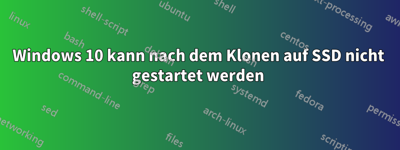Windows 10 kann nach dem Klonen auf SSD nicht gestartet werden