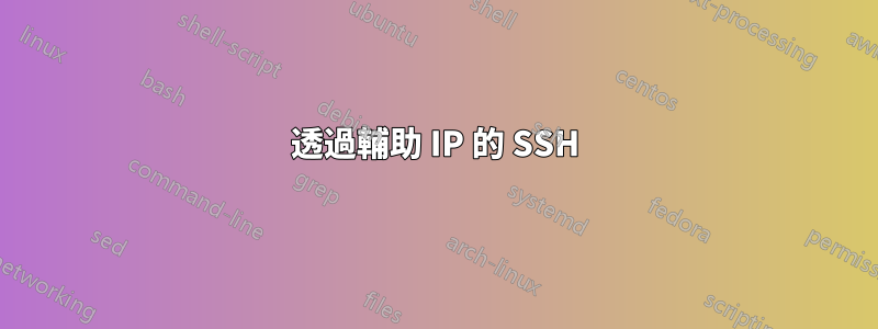 透過輔助 IP 的 SSH