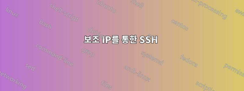보조 IP를 통한 SSH