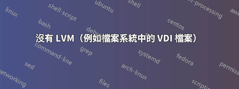 沒有 LVM（例如檔案系統中的 VDI 檔案）
