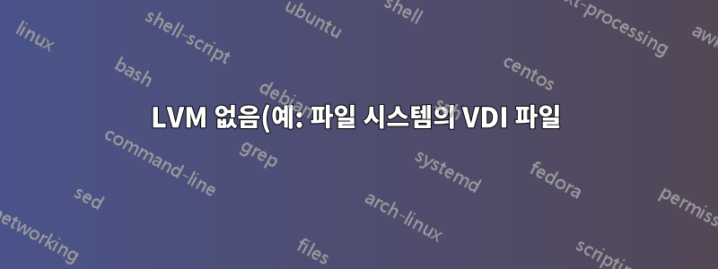 LVM 없음(예: 파일 시스템의 VDI 파일)