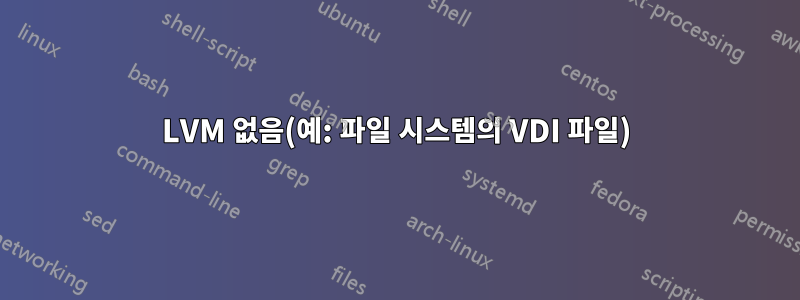 LVM 없음(예: 파일 시스템의 VDI 파일)