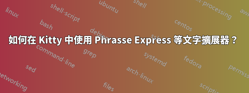 如何在 Kitty 中使用 Phrasse Express 等文字擴展器？