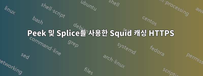 Peek 및 Splice를 사용한 Squid 캐싱 HTTPS