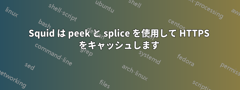 Squid は peek と splice を使用して HTTPS をキャッシュします