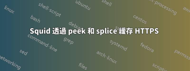 Squid 透過 peek 和 splice 緩存 HTTPS