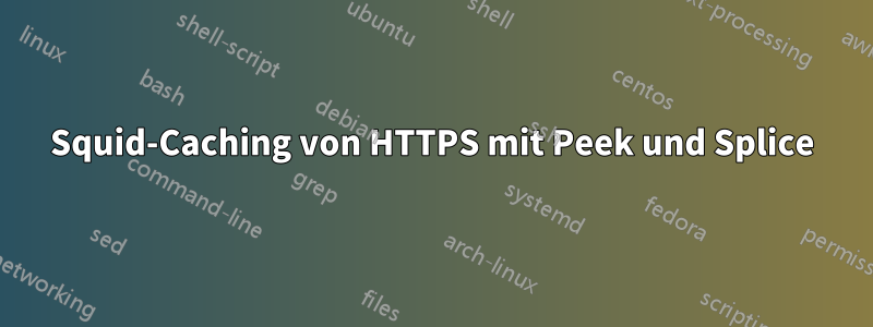 Squid-Caching von HTTPS mit Peek und Splice