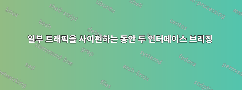 일부 트래픽을 사이펀하는 동안 두 인터페이스 브리징