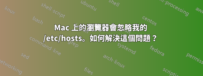 Mac 上的瀏覽器會忽略我的 /etc/hosts。如何解決這個問題？