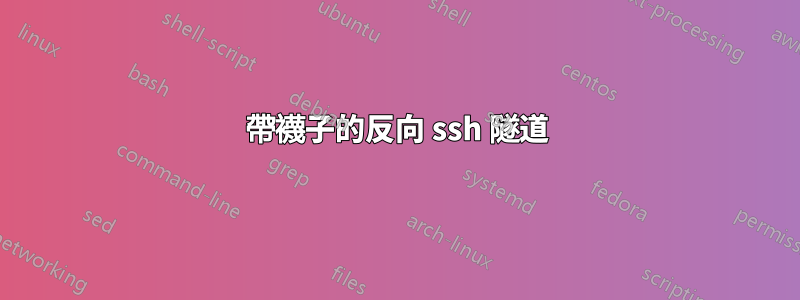 帶襪子的反向 ssh 隧道