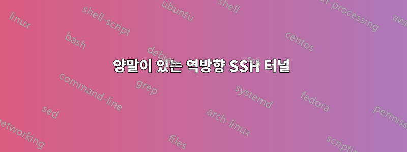 양말이 있는 역방향 SSH 터널