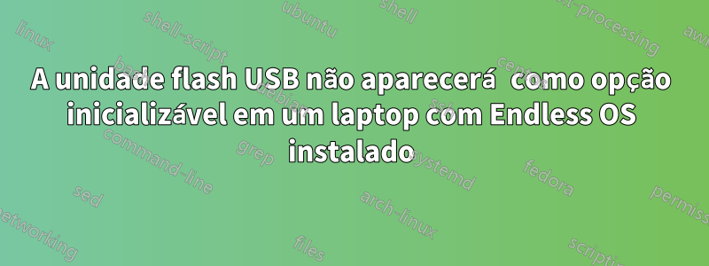 A unidade flash USB não aparecerá como opção inicializável em um laptop com Endless OS instalado