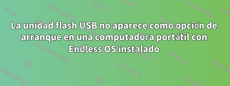 La unidad flash USB no aparece como opción de arranque en una computadora portátil con Endless OS instalado