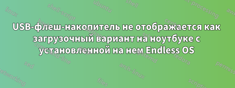 USB-флеш-накопитель не отображается как загрузочный вариант на ноутбуке с установленной на нем Endless OS