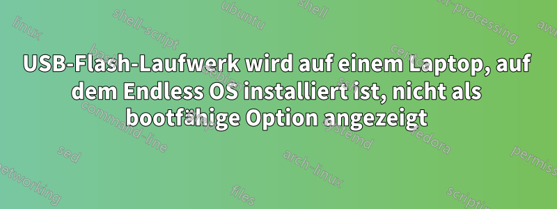 USB-Flash-Laufwerk wird auf einem Laptop, auf dem Endless OS installiert ist, nicht als bootfähige Option angezeigt