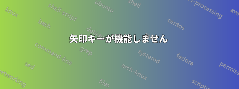 矢印キーが機能しません