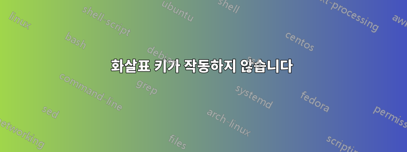 화살표 키가 작동하지 않습니다