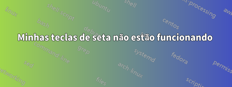 Minhas teclas de seta não estão funcionando