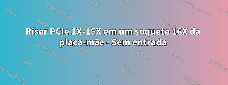 Riser PCIe 1X-16X em um soquete 16X da placa-mãe - Sem entrada