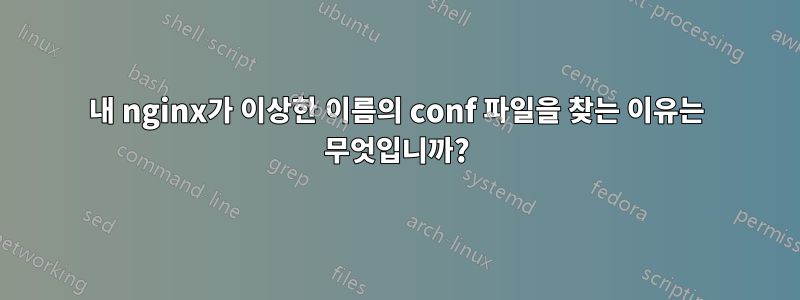 내 nginx가 이상한 이름의 conf 파일을 찾는 이유는 무엇입니까?