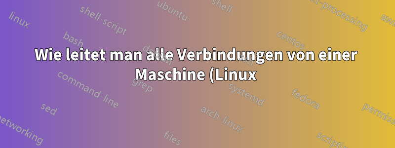 Wie leitet man alle Verbindungen von einer Maschine (Linux) über ein VPN auf eine andere (Windows) unter VMWare ESXi um?