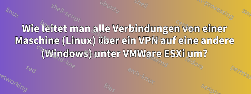 Wie leitet man alle Verbindungen von einer Maschine (Linux) über ein VPN auf eine andere (Windows) unter VMWare ESXi um?