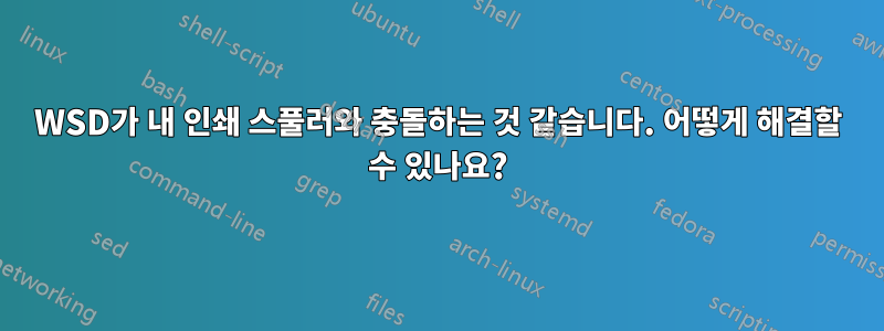 WSD가 내 인쇄 스풀러와 충돌하는 것 같습니다. 어떻게 해결할 수 있나요?