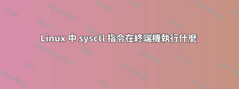 Linux 中 sysctl 指令在終端機執行什麼