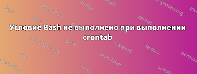 Условие Bash не выполнено при выполнении crontab