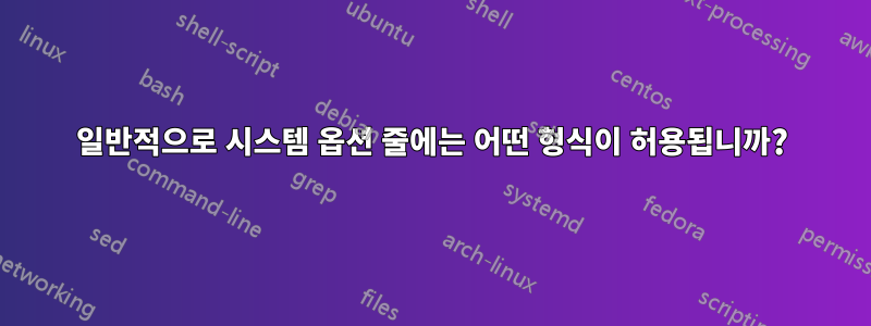 일반적으로 시스템 옵션 줄에는 어떤 형식이 허용됩니까?